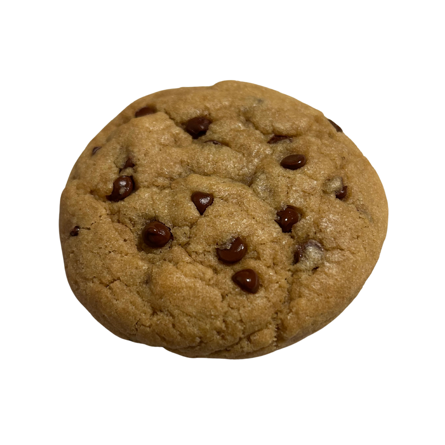 Chocolate Chip